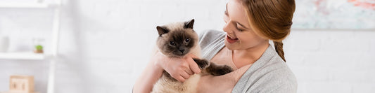Understanding Your Cat's Behavior: Decoding Feline Body Language
