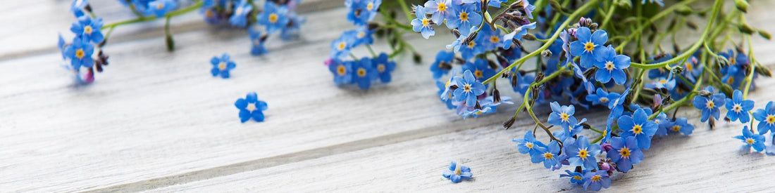 Annual Remembrance: Keep Their Memory Alive Forever