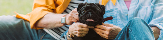 Fur Baby Approved Gifts for the Dog Lover in Your Life