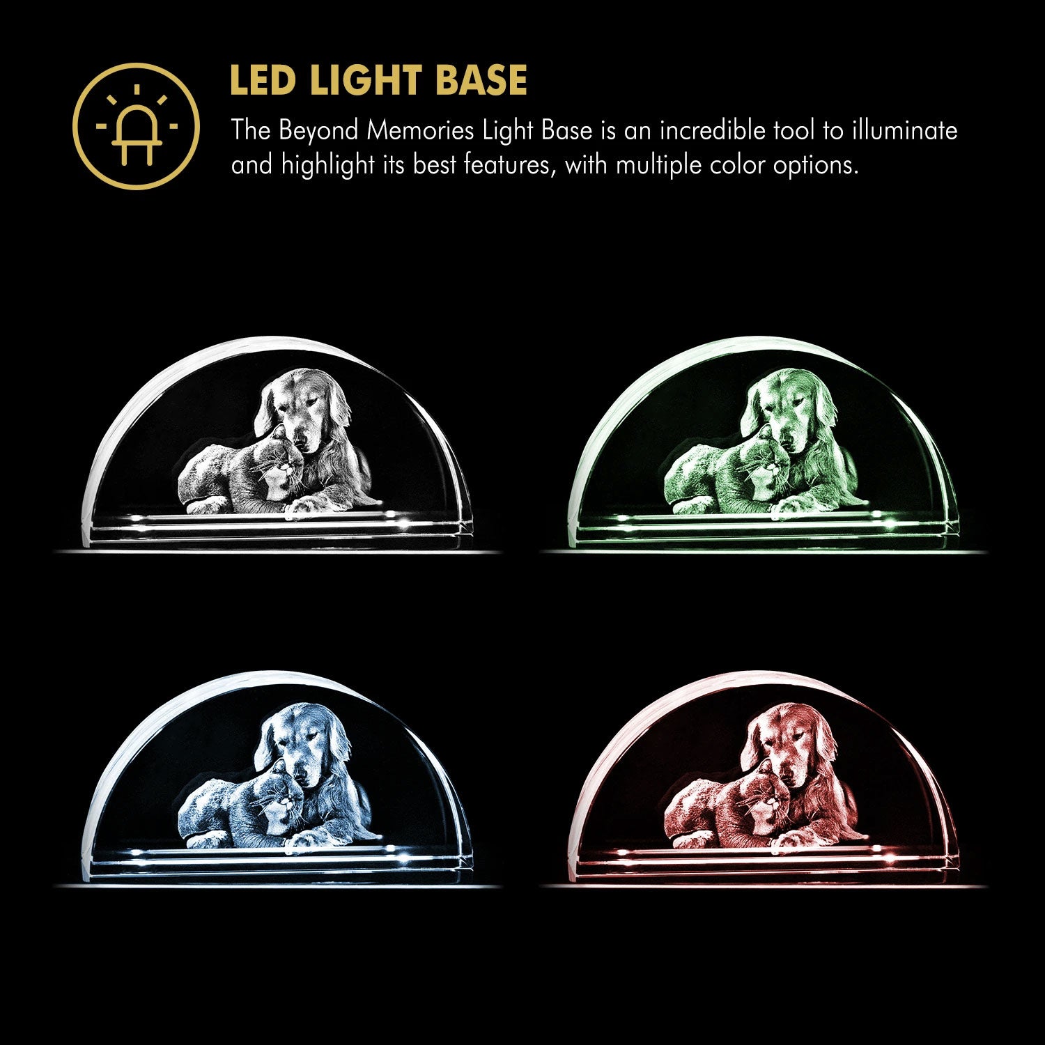 Beyond Memories - LED Light Base Multicolor Options