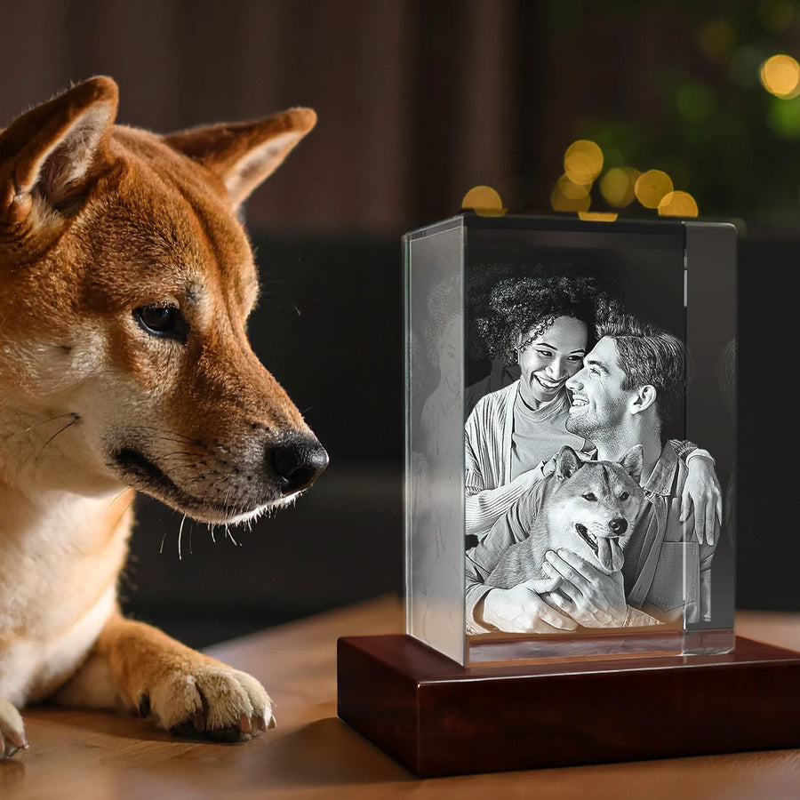 Shiba Inu dog looking at a personalized 3D crystal photo of a couple with their dog inside a glass rectangle on a wooden base