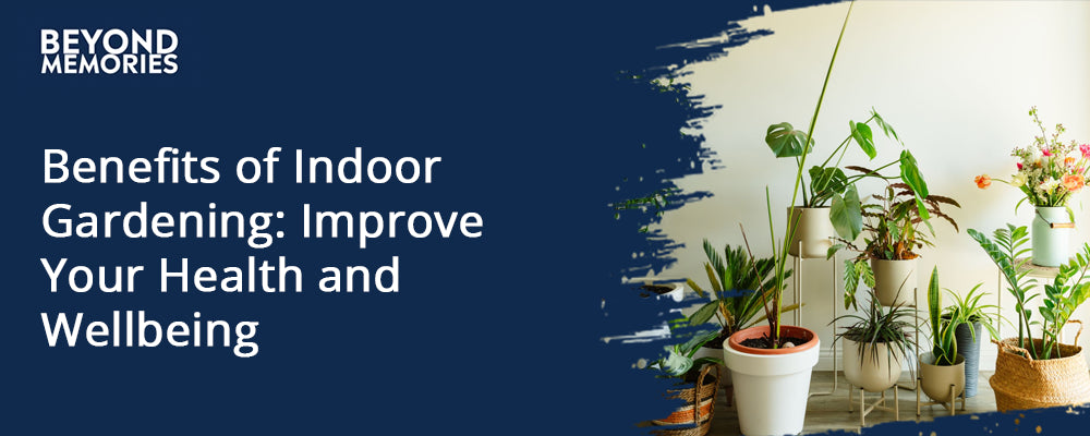 Benefits of Indoor Gardening: How Houseplants Can Improve Your Health and Wellbeing