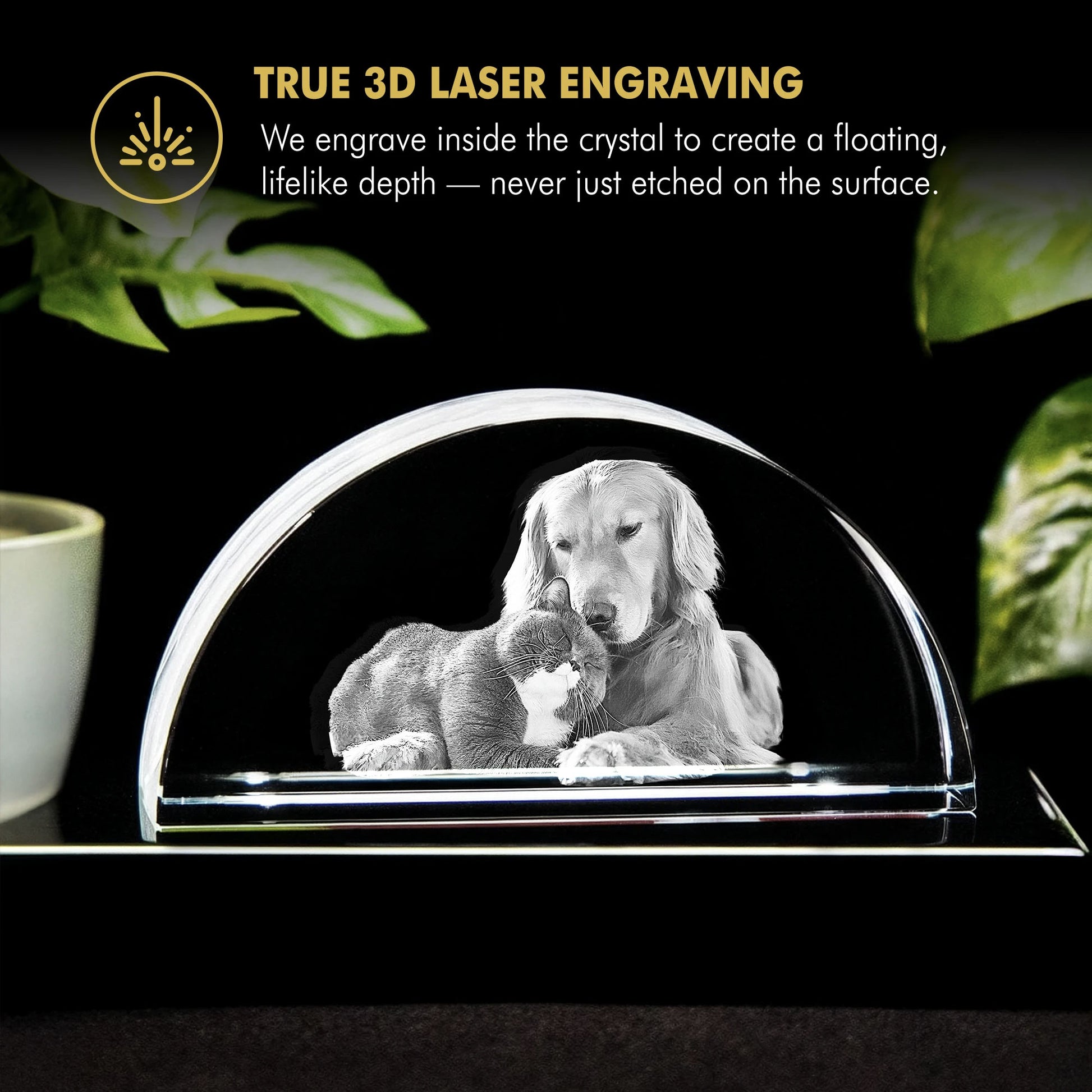 Beyond Memories - Free Background Removal