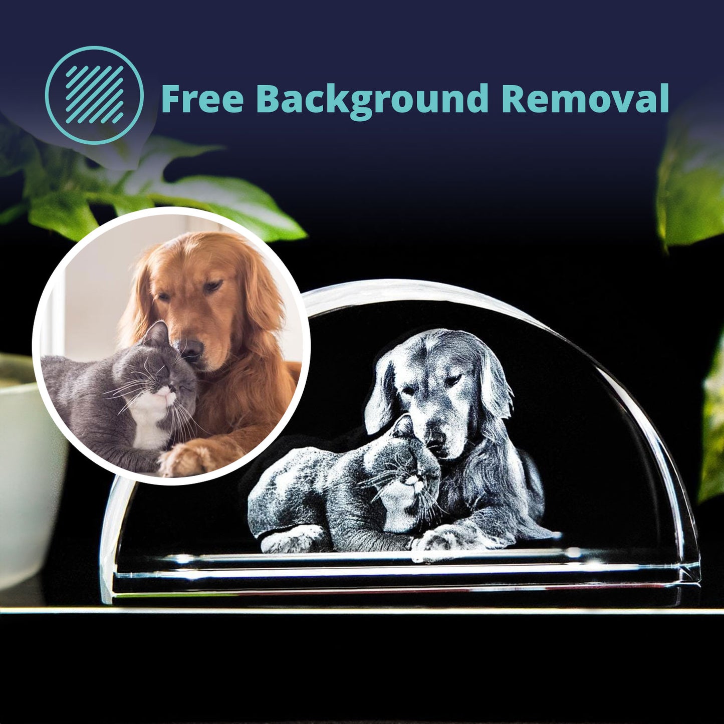 Beyond Memories - Free Background Removal