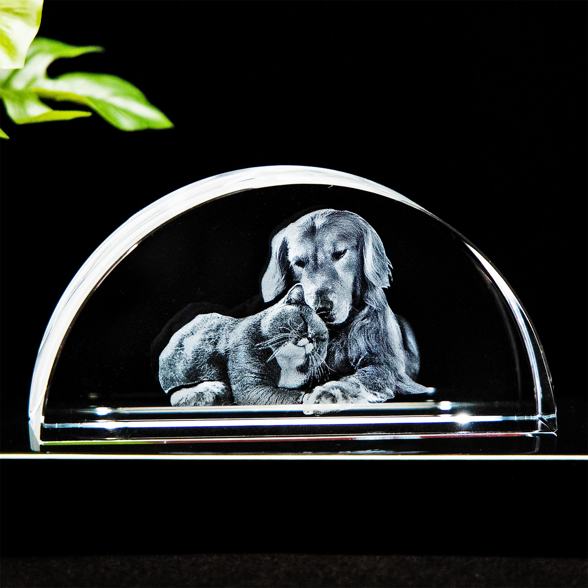 3D Crystal Crescent™ - Pet Lovers